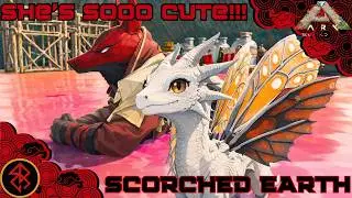 Я ПРИРУЧИЛ СВОЕГО ПЕРВОГО ДРАКЕЛИНГА!!! | ARK: Выжженная Земля | Эпизод 4
