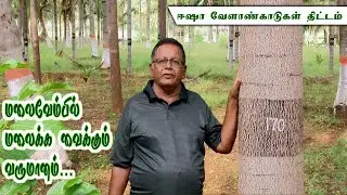 மலை வேம்பில் மலைக்க வைக்கும் வருமானம்