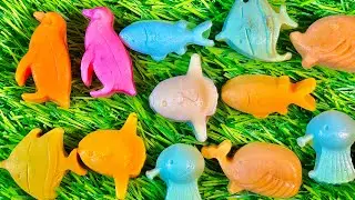 Animal Designs Soap Opening | Noise ASMR | Satisfying Soap Video | ASMR No Talking 🧼
