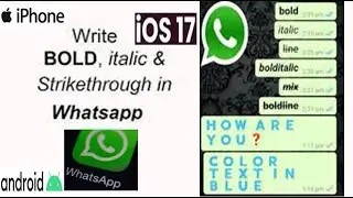 How To send Bold Text In WhatsApp Message || iOS || Android Full Guide
