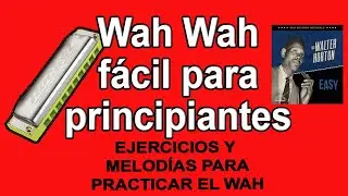 Aprende la técnica del WAH WAH fácil - Ejercicios y melodías para practicarlo - EASY WALTER HORTON