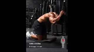 HOW TO DO CRUNCHES | Perfect Crunch FOR BEGINNERS | Best ABS Exercises | FITNESS SPECIAL | WORKOUT