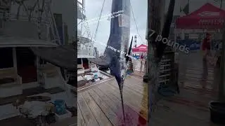 The boat winning the 67th annual big rock tournament is the big troubles ￼# bigrock