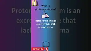 What is protonephridium? #shorts #youtubeshorts #science #definition #knowledge #protonephridium