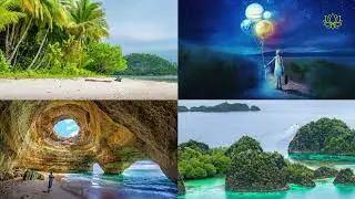 Revelations of Nature Inspiring Stories of Wonder and Discovery