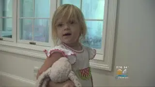 Publix Workers Go Above And Beyond To Find Young Girl’s Missing Stuffed Bunny