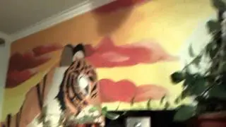 LG Optimus Vu - Indoor Video Sample Front Camera