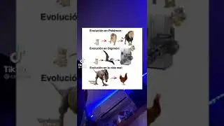 evolucion en Pok&eacute;mon vs Digimon vs la vida real.