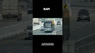 Bus RAPI Arcadia
