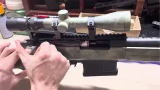 Custom Ares Amoeba Striker as01 overview