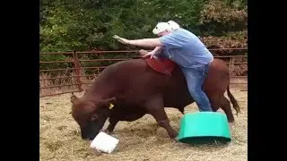 Try Not To Laugh Funny Fails 2019  Best Fails of The Month