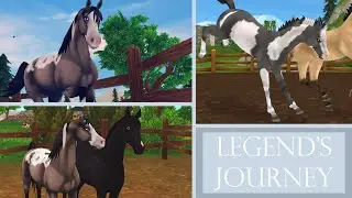 Legend's Journey ~ Update on Marble's Colt || SSO RP