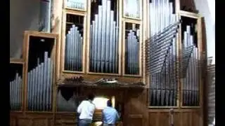 Organ music played by Alberto Pinto, Cesma.ch president, on Santa Galla church.