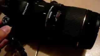 E420 + Sigma 150mm 1:2.8 APO MACRO DG HSM