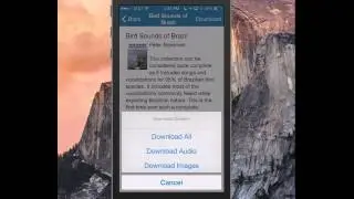 BirdsEye 2.0 Bird Guide Store and Download feature