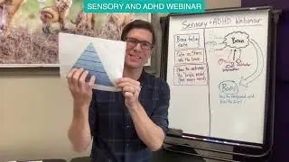 Sensory & ADHD Webinar - Better Understand How to Help Your Child