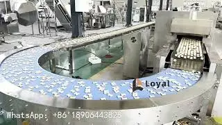 Automatic biscuit production line | Hard biscuit machine| Soft biscuit machine| oreo biscuit machine