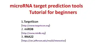 Учебное пособие по инструментам прогнозирования целей miRNA | Targetscan | miRDB | RNA22|