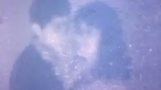 Tomemitsu - In Dreams (Music Video)