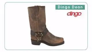Dingo Dean - Planetshoes.com