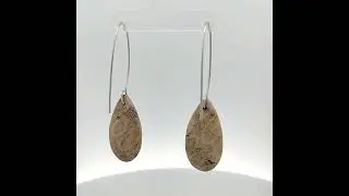 0893 Fossilized Coral Drop Earrings
