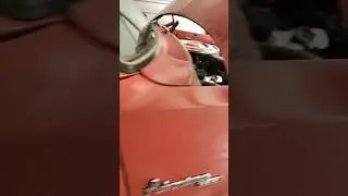 Little Red Express!