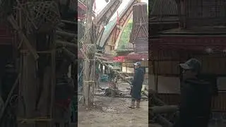Hari menerima tamu, Buntu Pepasan #youtubeshorts #torajautara #torajaindah