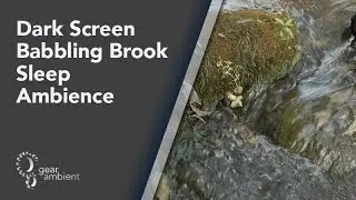 Sleep Soundly- a Tranquil Flowing Water Stream: Water ASMR