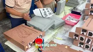 Precision Assembly & Scalable Production | Inside Our Folding Box Factory