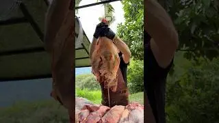 Las diferencias de la carne a la llanera y el porque dicen que no es carne a la llanera 😱 #video