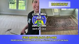 Wool Area Rug Cleaning by Steam Hippo Carpet Cleaning