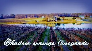 Shadow Springs Vineyard ~ Small Text
