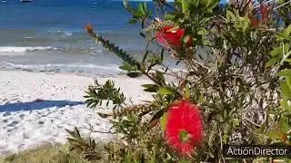 Port Stephens Adventure