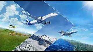 Microsoft Flight Simulator 2020 #1239