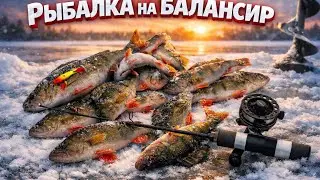 Эта поклёвка  заставила понервничать 😨. Рыбалка на балансир в Латгалии. 