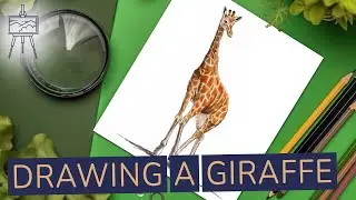 How to Draw a Giraffe - Easy Tutorial #drawingtutorial