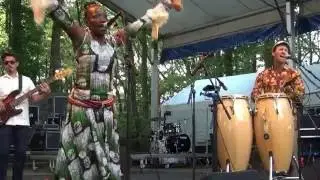 Orlando Julius & The Heliocentrics - Ashiko - LIVE at Afrikafestival Hertme 2016