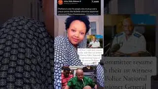 How to bring down General Phahlane | Ad Hoc Committee.