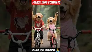 Duddi Duddi Dum Dum | Cute kitten 😁Cat dance video 💃बिल्ली डांस #funny #dancingcat#shorts #catvideos