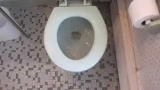Blue 1977 Kohler Wellworth toilet