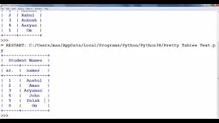 How to make textual table in Python using Pretty Tables | Binary 2.0