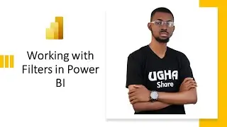 Working with Filters in Power BI