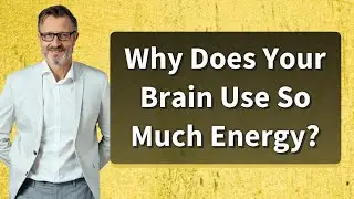 Why Does Your Brain Use So Much Energy?