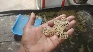 Dablig machine (Firayms) Gold finger.