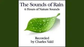 Spring Rain (60 Minutes)