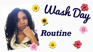 Natural hair wash day routine| Avocado clay mask!