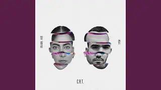 C.A.T.