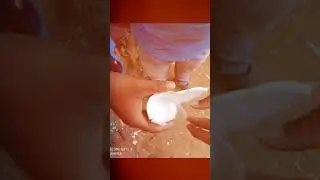 Micro plastic found in blood 😱 #shorts #facts