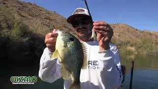The New Ever Green Gizmo Topwater Bait