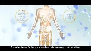 Dr.vigor Protein Powder solid drink